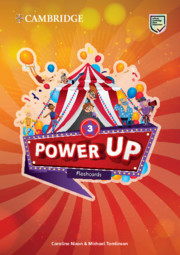 Power Up Level 3 Flashcards. Pack of 179