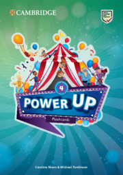 Power Up Level 4 Flashcards . Pack of 179